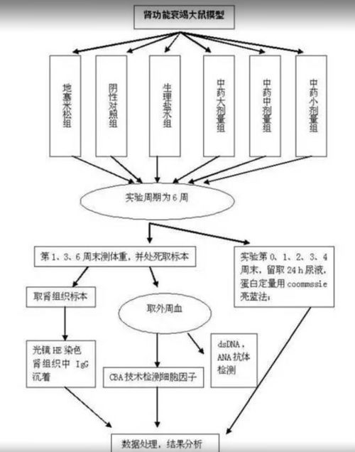 23個可編輯技術(shù)路線圖模板與繪制技巧 含國自然九大熱點領(lǐng)域應(yīng)用指南